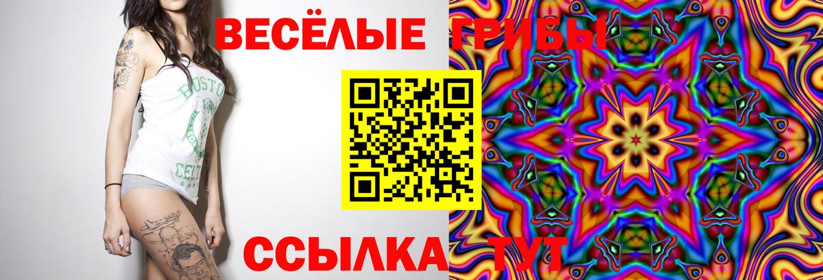 Выборг  Псилоцибиновые грибы Psilocybe  закладка  Галлюциногенные грибы прущие грибы  Вход с VPN 