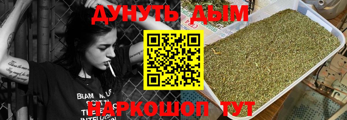 Конопля конопля  Вход с VPN  Шишки марихуана Bruce Banner  Выборг  Канабис гибрид 